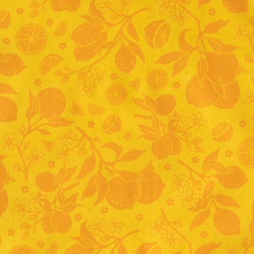 Bountiful 09-Orange Citrus Tonal Orange
