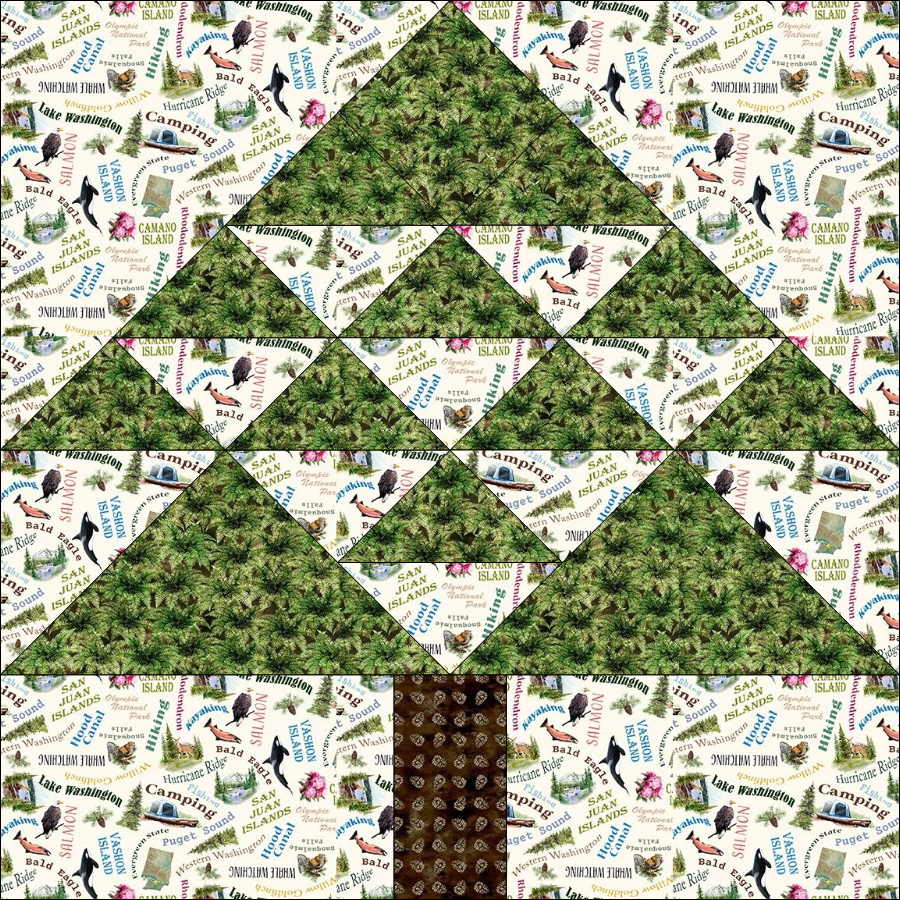 Washington Pattern 2024 Western Washington Shop Hop Block Pattern - PDF