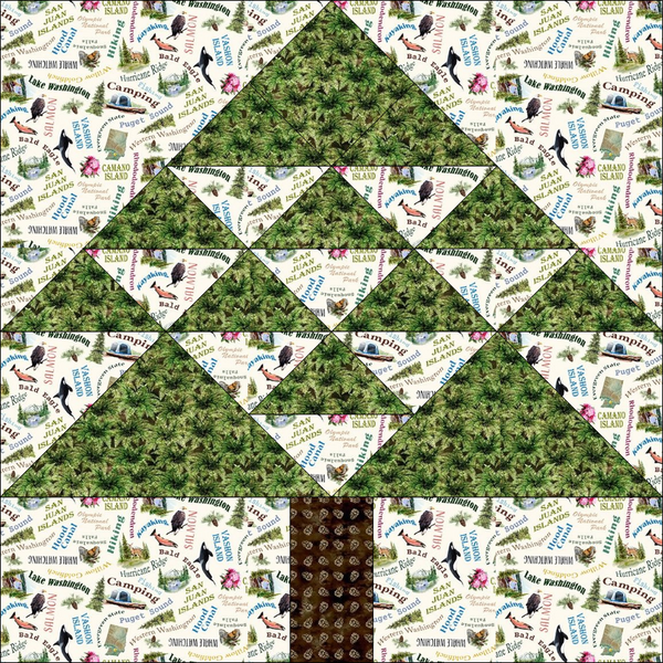 2024 Western Washington Shop Hop Block Pattern - PDF