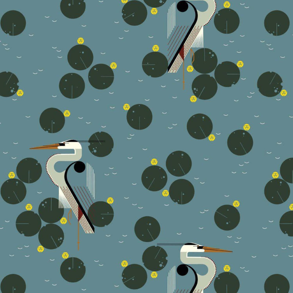 Coastal Vol 2 CH-447 New Heronipity