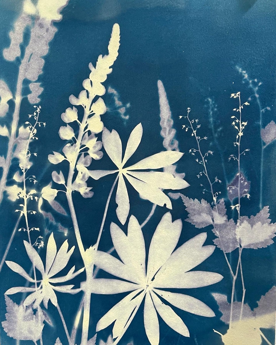 Cyanotype Basics: Beautiful Blue Botanicals, Thursday, June 4 - Quilted Strait