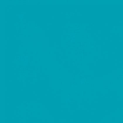 Essential Solid Parrot Blue