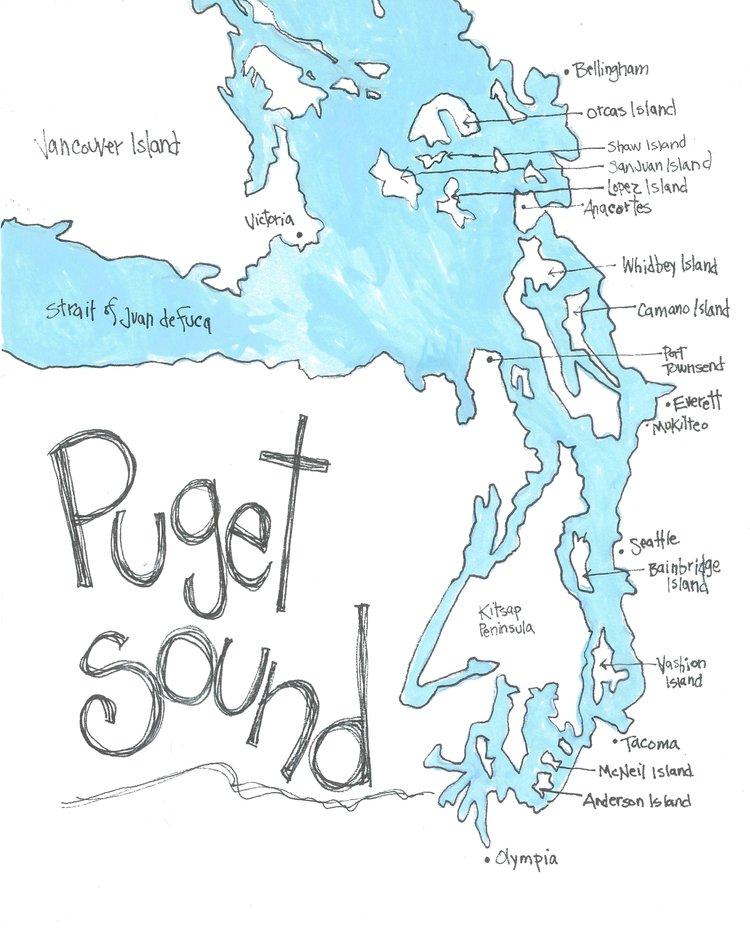 Puget Sound Greeting Card