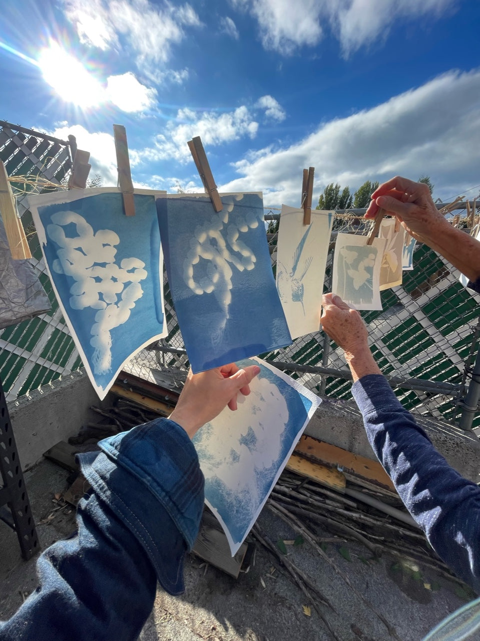 Cyanotype Basics: Beautiful Blue Botanicals, Thursday, June 4 - Quilted Strait