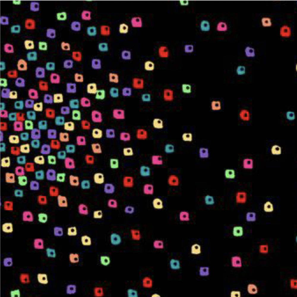Laurel Burch 108" Y4925-55 Confetti Multi Color