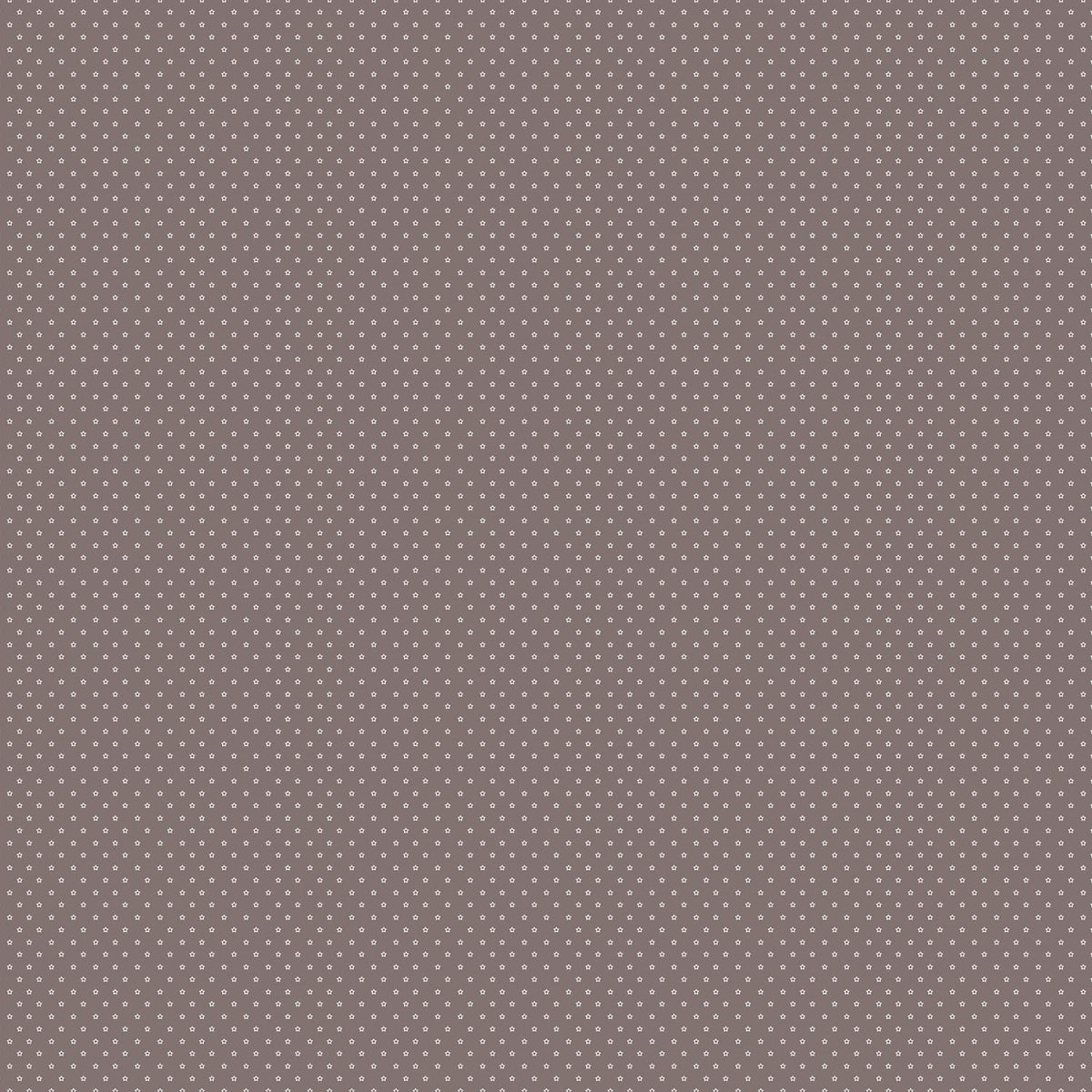 Nest 92102-36 Stars Cocoa - Quilted Strait