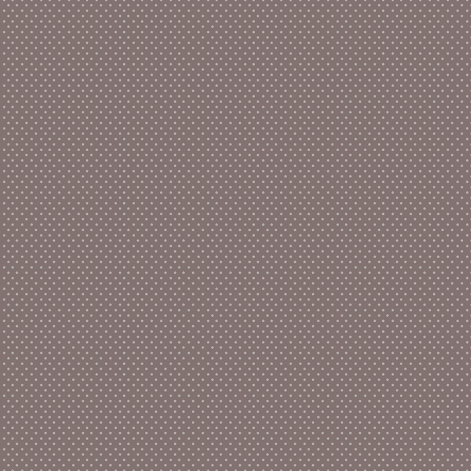 Nest 92102-36 Stars Cocoa - Quilted Strait