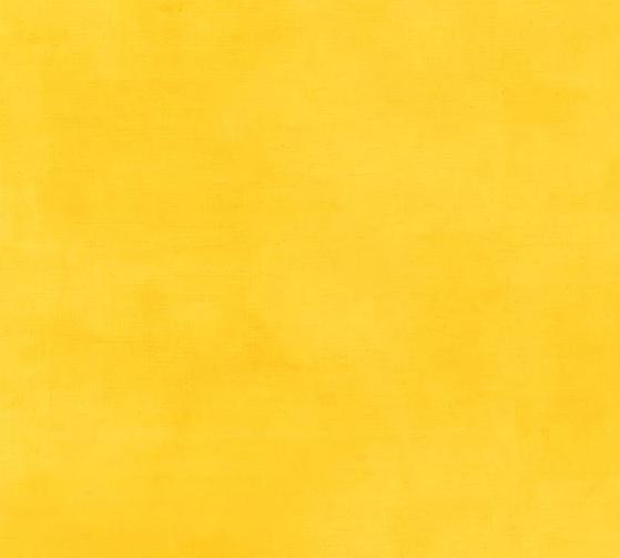 Palette 37098-117 Lemon Zest - Quilted Strait