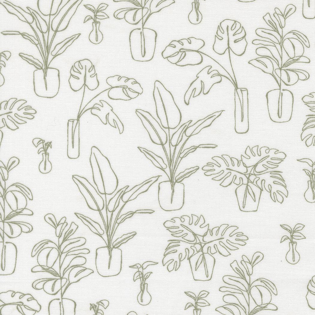 Potted 26143 11 Indoor Jungle Cream