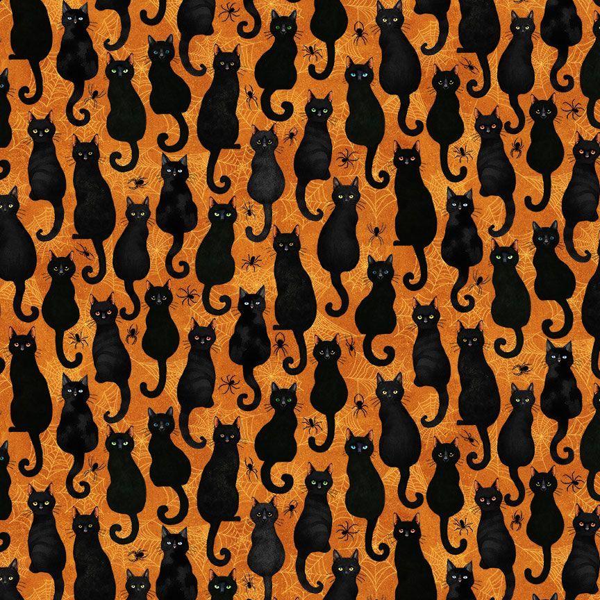 Scaredy Cats CD4237 Black Cats and Spiders Orange