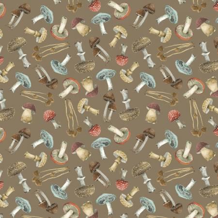 Seasons Study 17837 223 Mushrooms All Over Brown