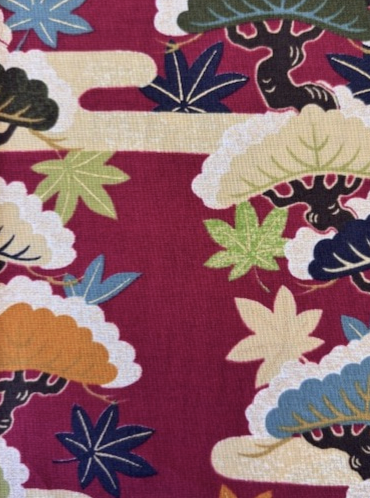 Sevenberry Cotton Printed Shirting