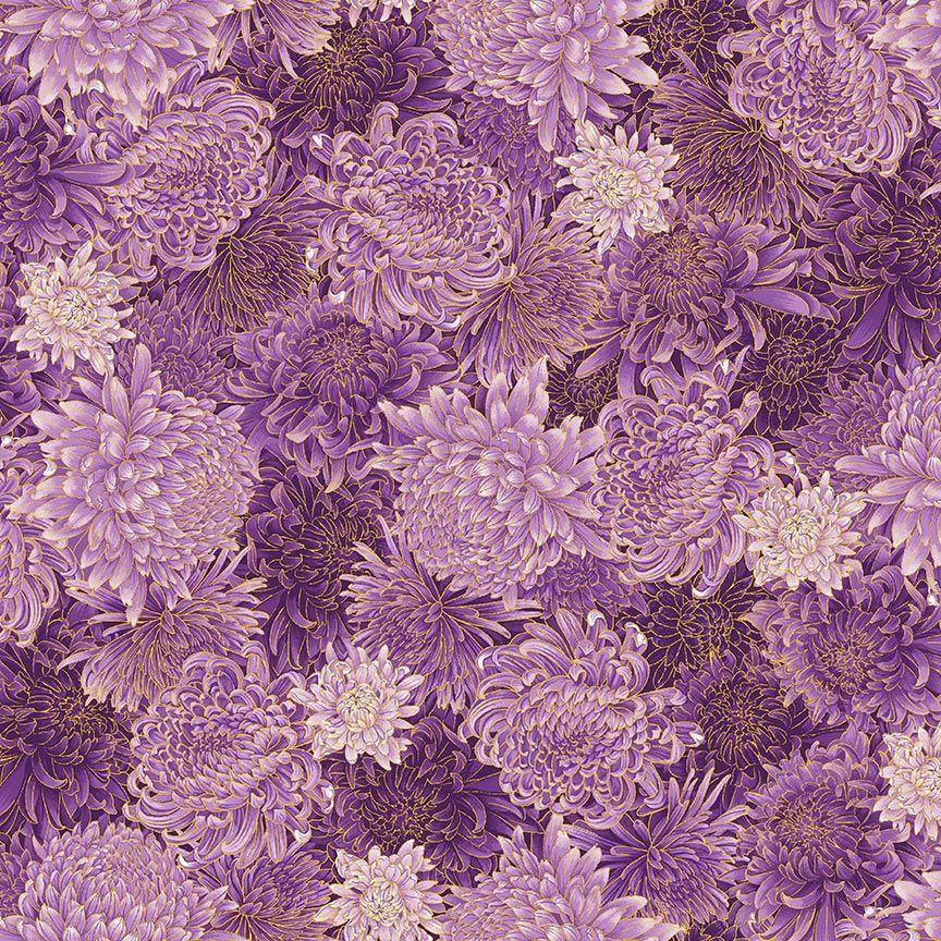 Shizuka 3164 Purple