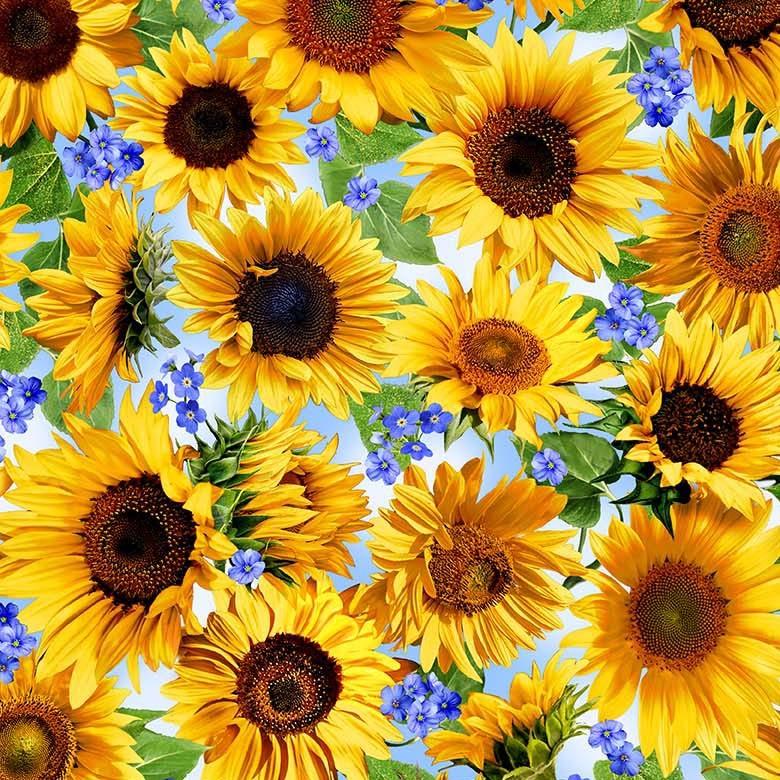 Summer Sunflowers 11677 Sunny Sunflower Meadow