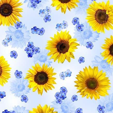 Summer Sunflowers 11683 Sky Dreamy