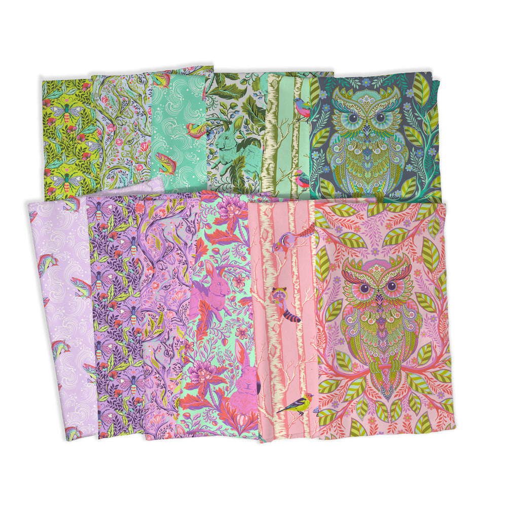 Full Moon Forest II Color Box