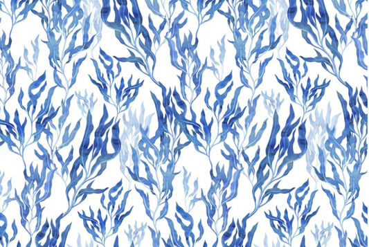 WWSH 4877-1 Growing Seaweed White