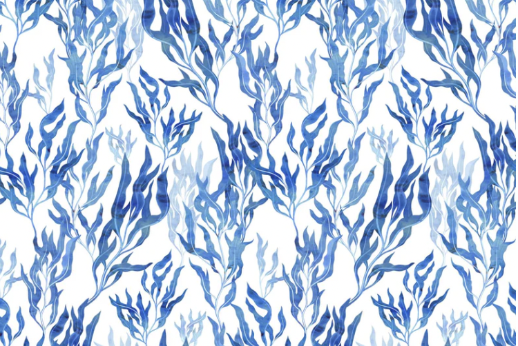 WWSH 4877-1 Growing Seaweed White