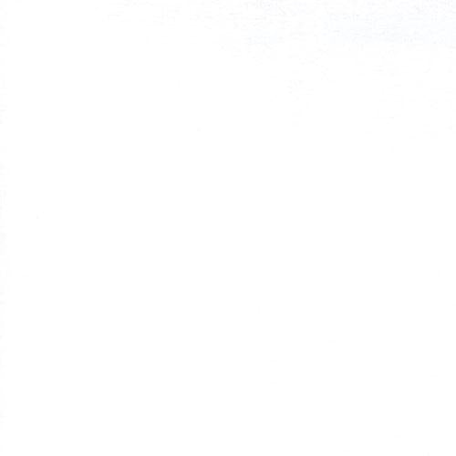 White Flannel 9955 11