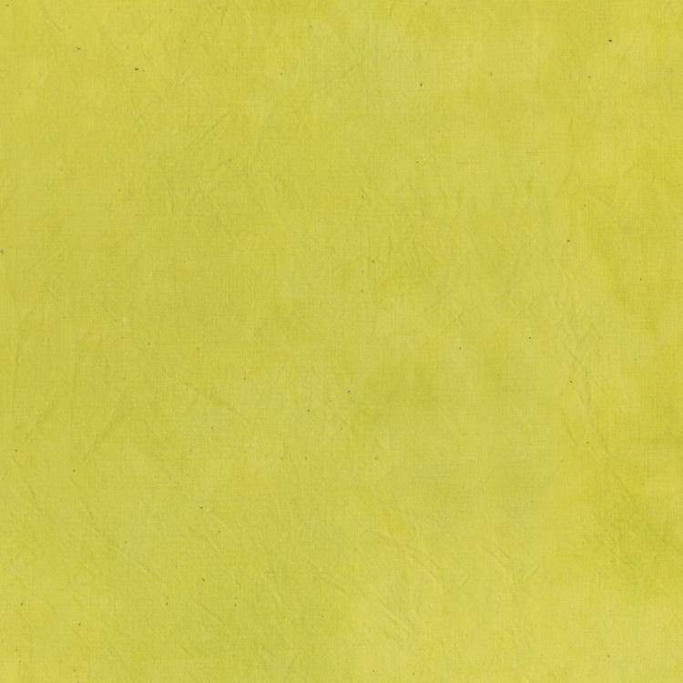 Marcia Derse Palette Lemongrass - Quilted Strait