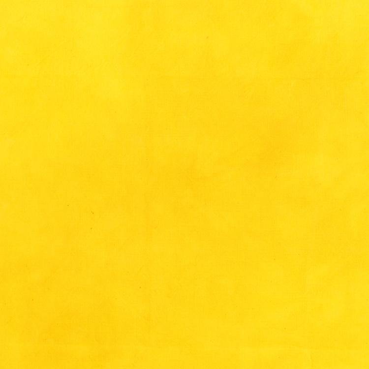 Marcia Derse Palette Daffodil - Quilted Strait