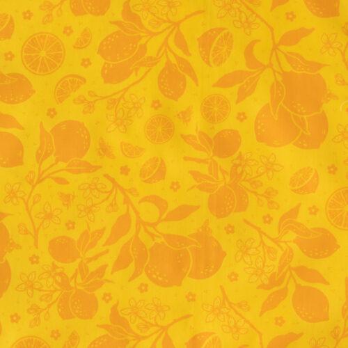Bountiful 09-Orange Citrus Tonal Orange - Quilted Strait