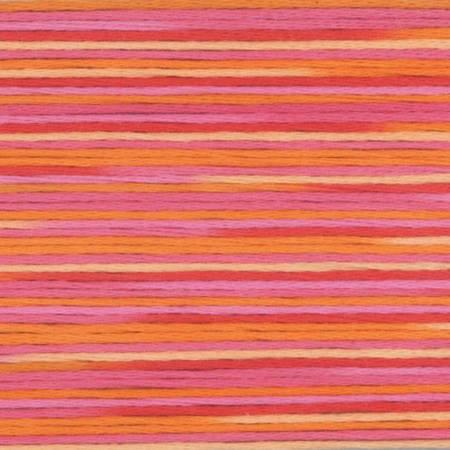 Cosmo Season 5003 - Quilted Strait