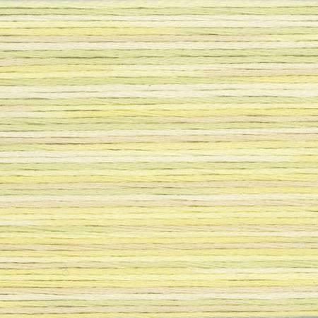 Cosmo Season 5010 - Quilted Strait