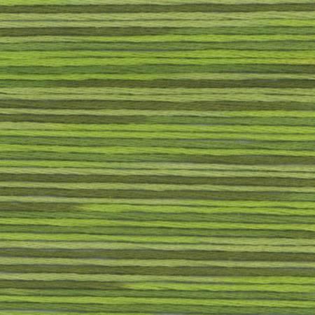 Cosmo Season 5014 - Quilted Strait