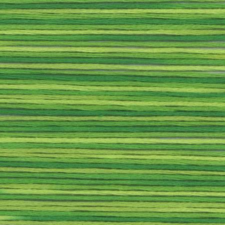 Cosmo Season 5015 - Quilted Strait