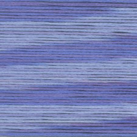 Cosmo Season 5022 - Quilted Strait