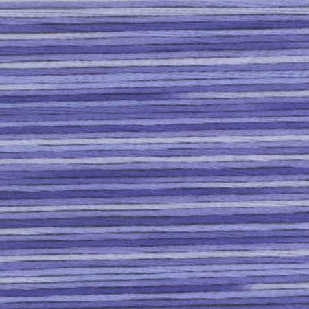 Cosmo Season 5023 - Quilted Strait