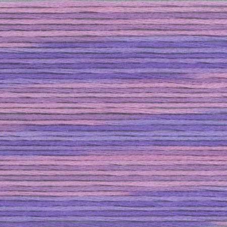 Cosmo Season 5024 - Quilted Strait