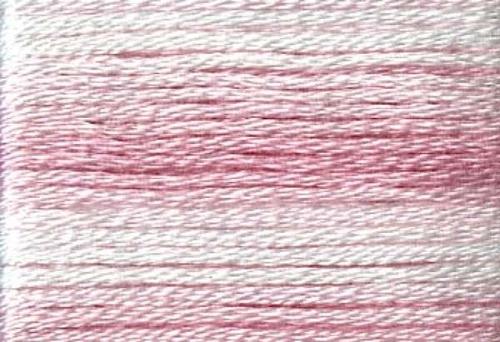 Cosmo Season 8004 - Quilted Strait