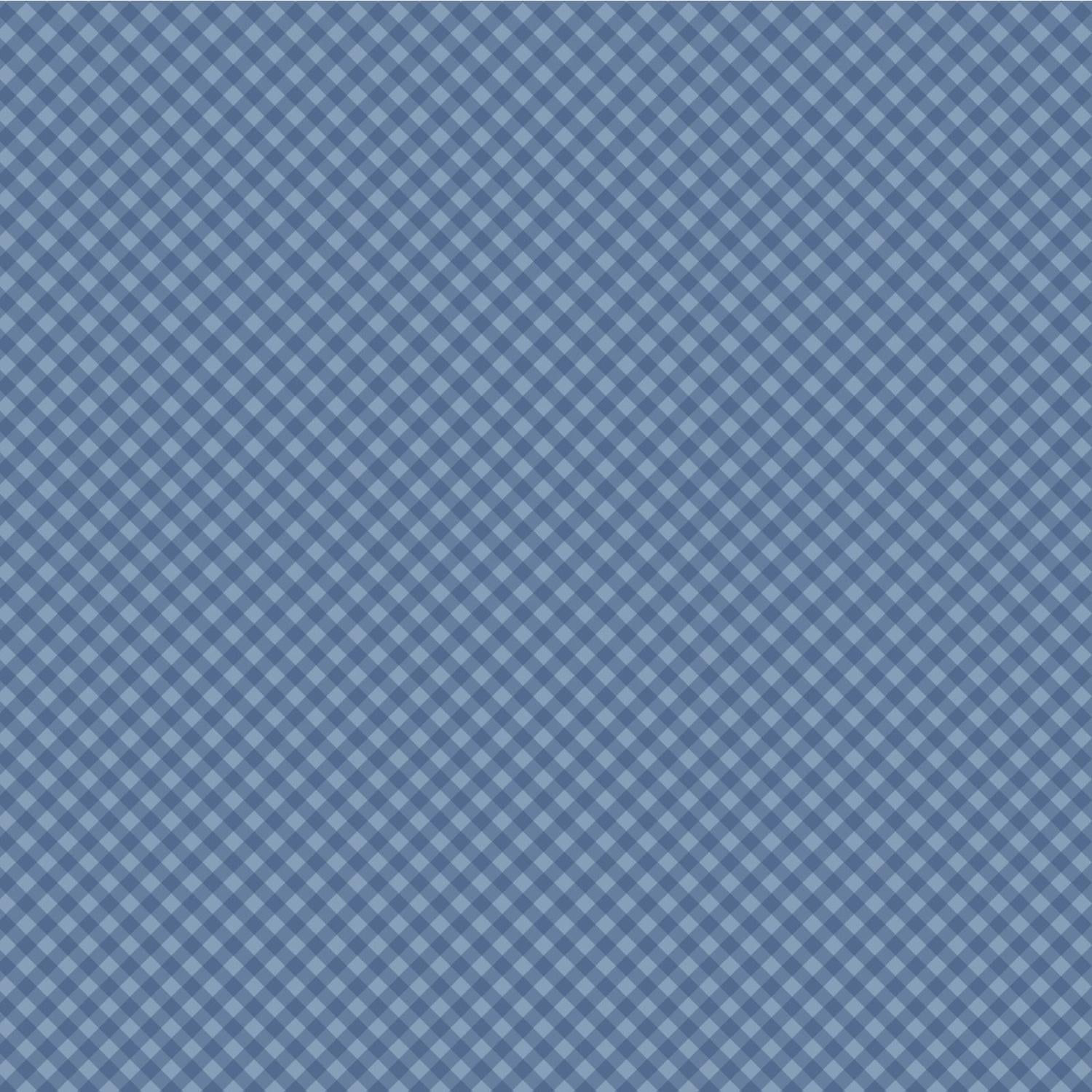 Prairie Sisters 23406 Gingham Forever - Quilted Strait