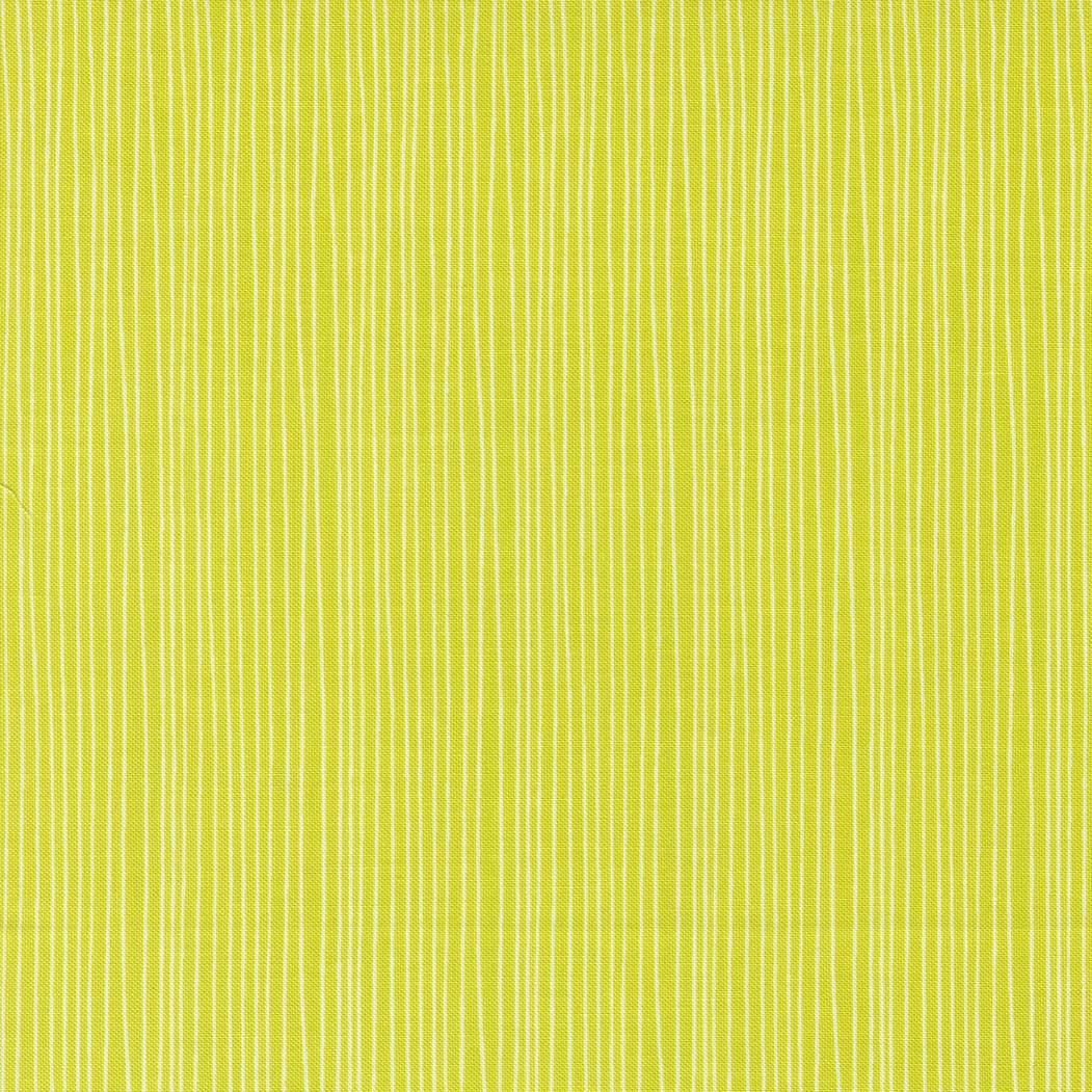 Sweet And Plenty 22457 18 Limeade - Quilted Strait